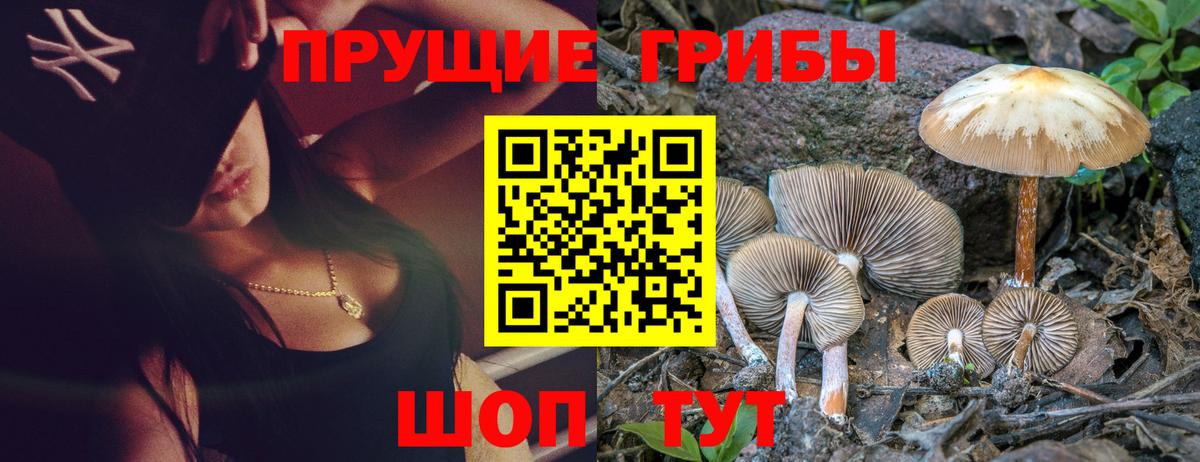 Галлюциногенные грибы прущие грибы  Псилоцибиновые грибы прущие грибы  Вход с VPN  Спасск-Дальний 