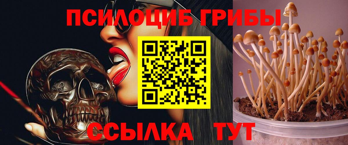 Галлюциногенные грибы прущие грибы Спасск-Дальний
